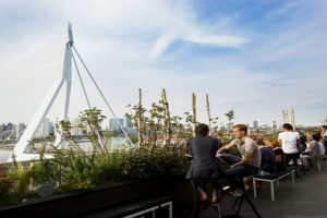 GO Rotterdam Food Tour GO Dutch Travel GO Rotterdam Food Tour GO Dutch Travel